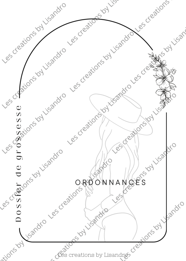 Intercalaires suivi de grossesse – Image 4