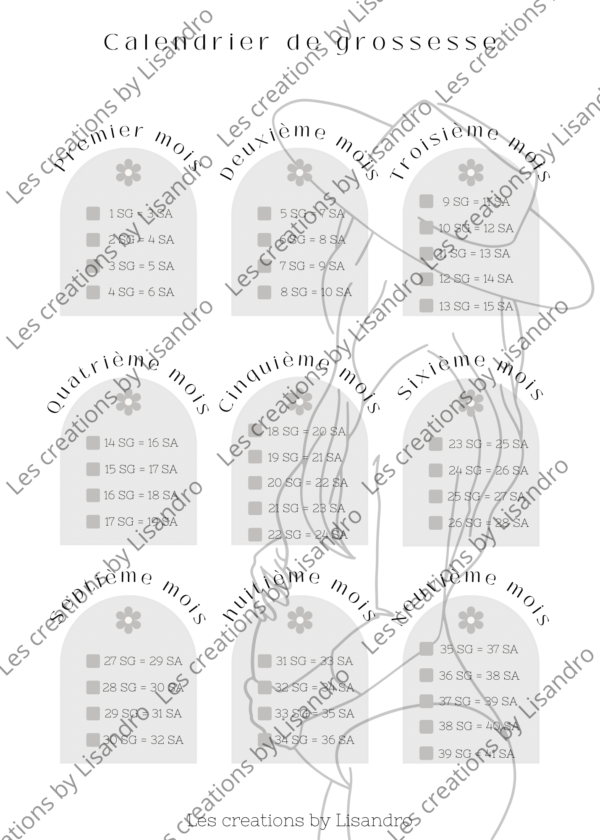 Intercalaires suivi de grossesse – Image 17